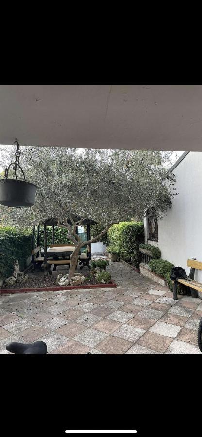 Da Laura Villa Lido Adriano Bagian luar foto
